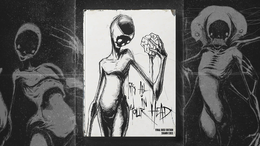 Vol 3 - It's All In Your Head Art Book