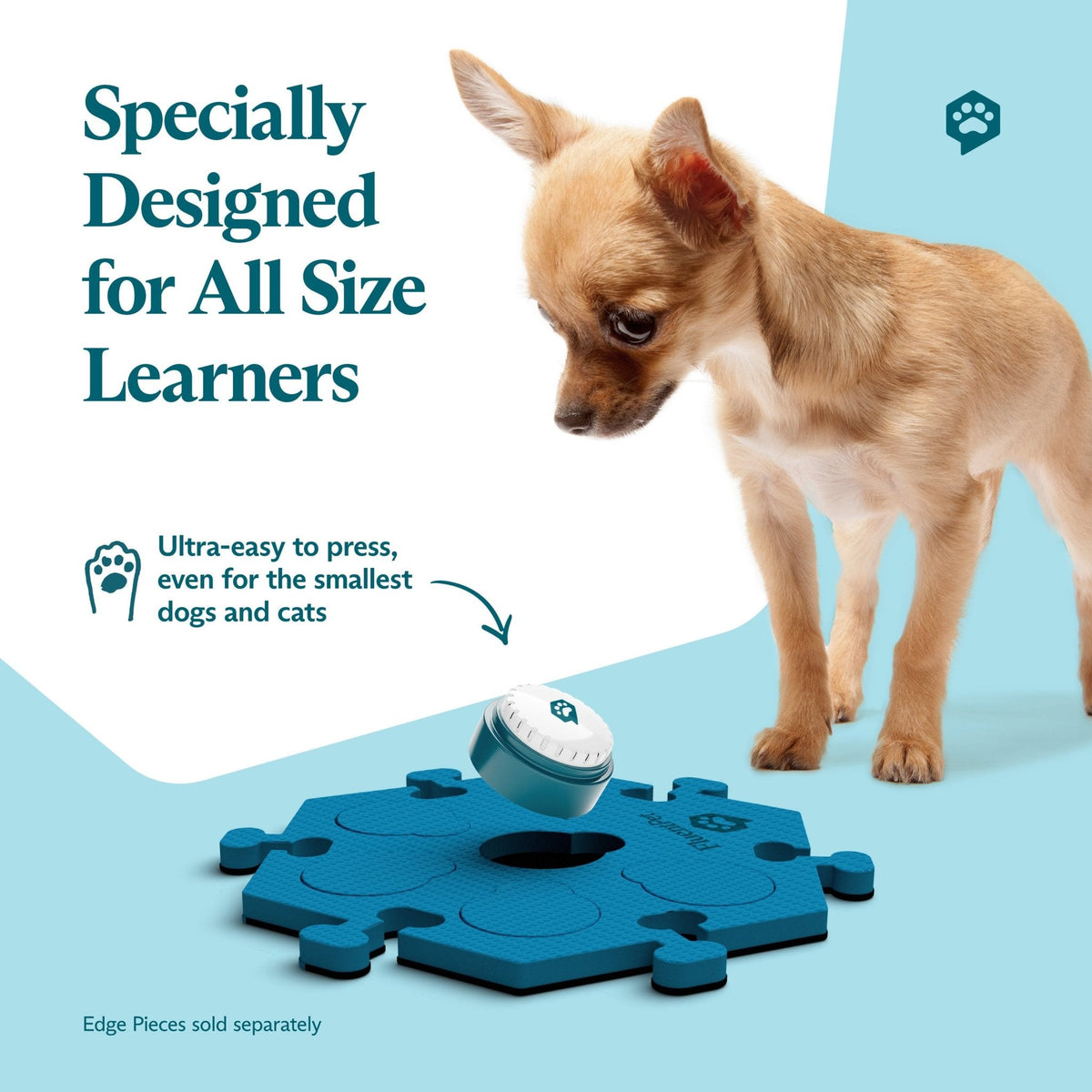 Dog beside pet communication buttons.