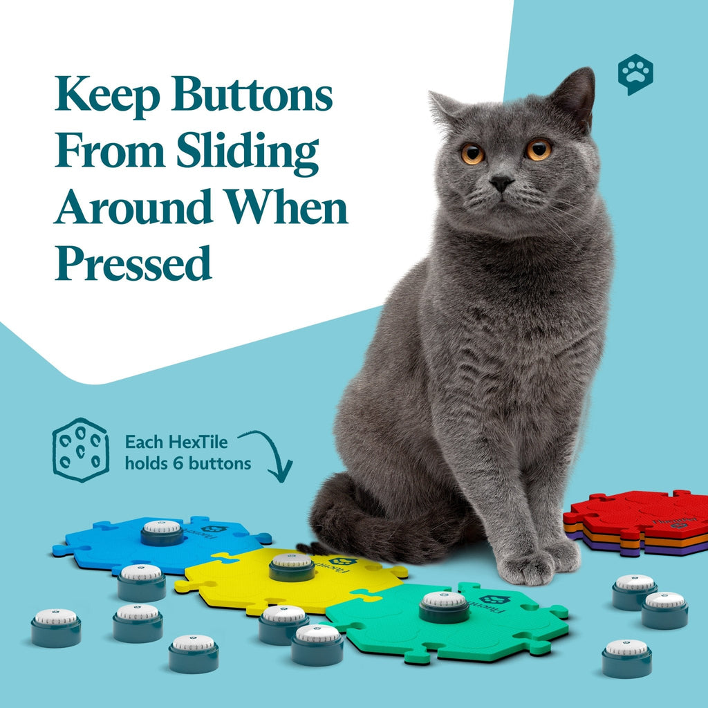 Cat beside pet communication button mat.