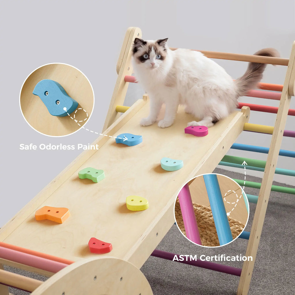 Cat on a colorful climbing ramp beside construction details.