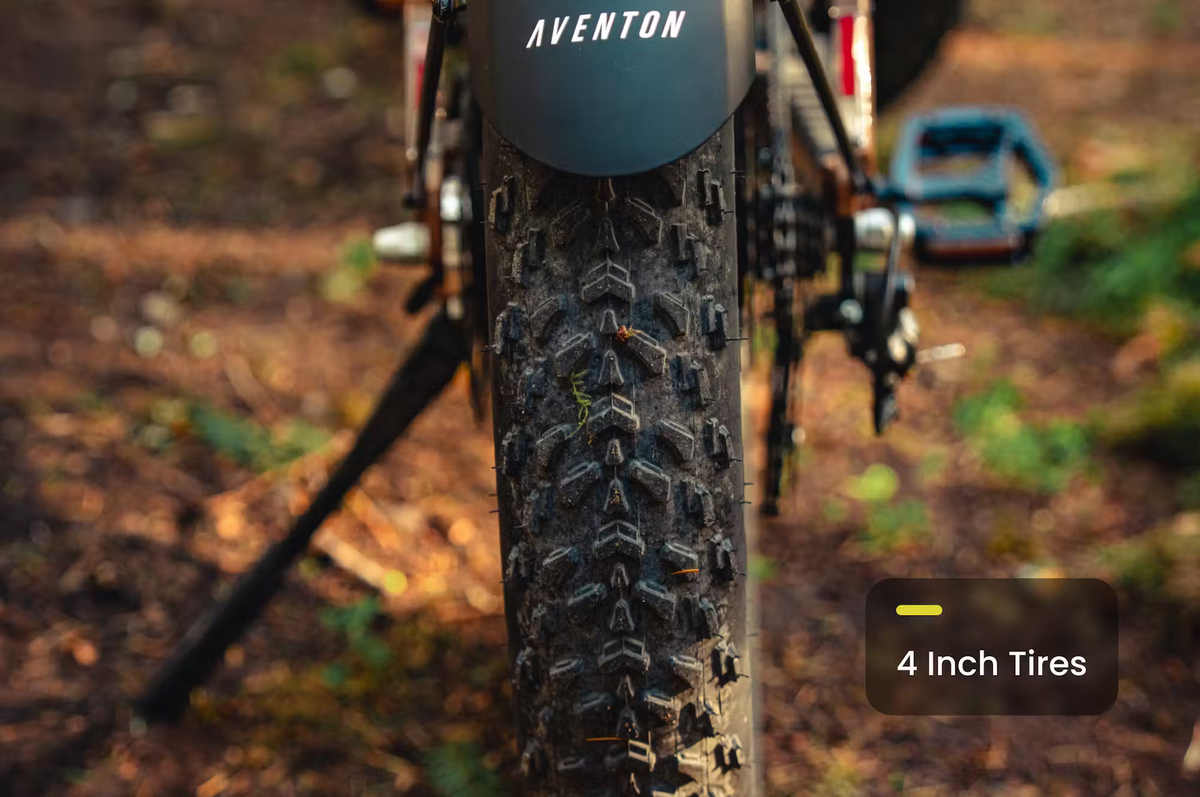 Aventon Aventure.3 E-Bike Step-Over